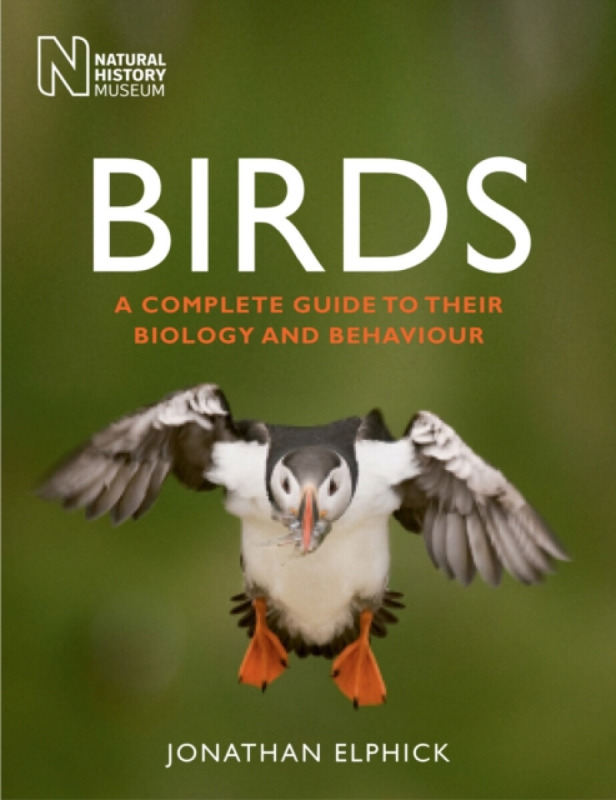 Birds - Jonathan Elphick