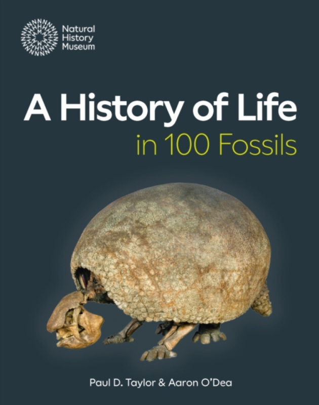History of Life in 100 Fossils The Natural History Museum