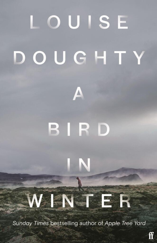 A Bird in Winter (Export Edition) - Louise Doughty - kniha z kategorie Společenská beletrie