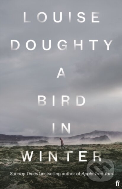 A Bird in Winter (Export Edition) - Louise Doughty - kniha z kategorie Společenská beletrie