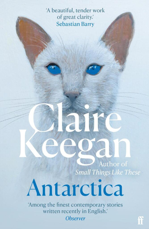 Antarctica - Claire Keegan - kniha z kategorie Společenská beletrie