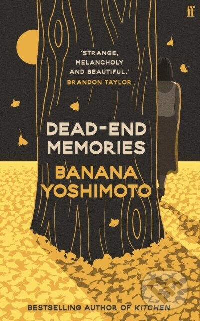 Dead End Memories - Banana Yoshimoto - kniha z kategorie Beletrie