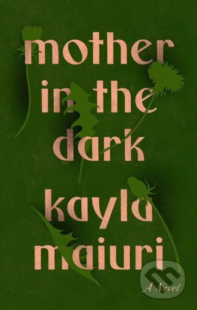 Mother In The Dark (A Novel) - Kayla Maiuri - kniha z kategorie Společenská beletrie