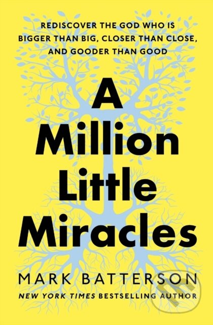 A Million Little Miracles (Rediscover the God Who Is Bigger Than Big, Closer Than Close, and Gooder Than Good) - kniha z kategorie Filozofie