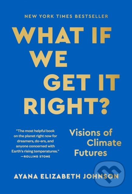 What If We Get It Right? (Visions of Climate Futures) - kniha z kategorie Matematika