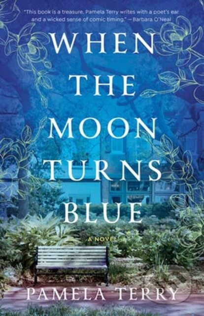 When the Moon Turns Blue (A Novel) - Pamela Terry - kniha z kategorie Společenská beletrie