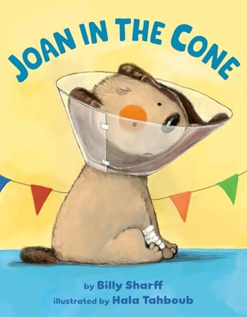 Penguin Putnam Inc Joan in the Cone - Sharff, Billy