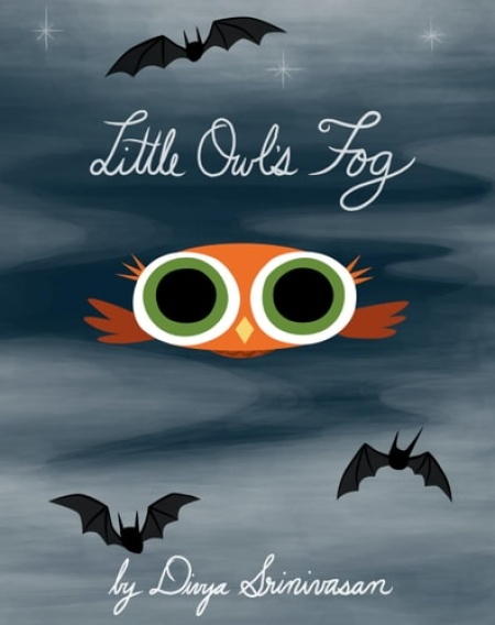 Penguin USA Little Owl's Fog - Srinivasan, Divya