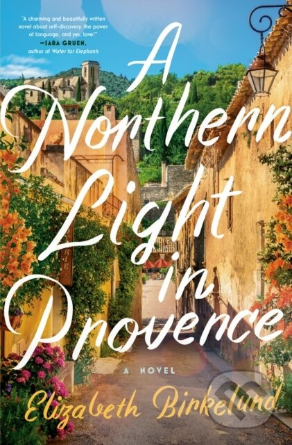 A Northern Light in Provence (A Novel) - Elizabeth Birkelund - kniha z kategorie Romantika