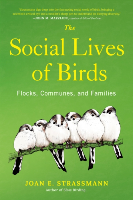 Penguin Publishing Group Social Lives of Birds - Strassmann, Joan E.