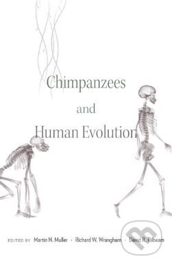 Chimpanzees and Human Evolution - Martin N. Muller - kniha z kategorie Přírodní vědy a technika