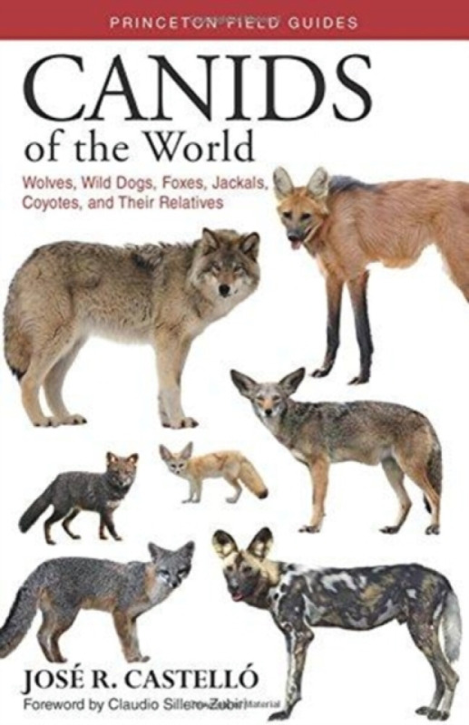 Canids of the World – Wolves, Wild Dogs, Foxes, Jackals, Coyotes, and Their Relatives - JosÃ© R. CastellÃ³, Claudio Sillero–zubiri
