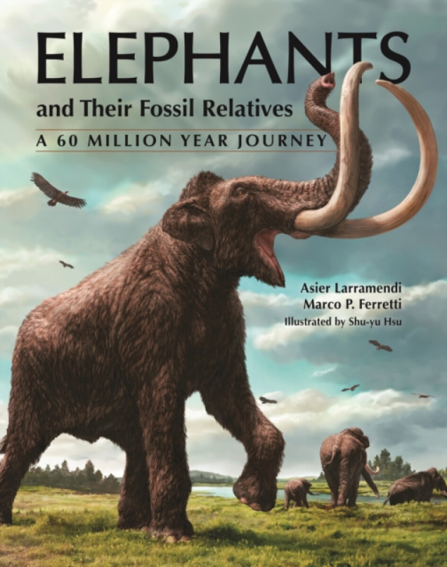 Princeton University Press Elephants and Their Fossil Relatives - Larramendi, Asier a Ferretti, Marco P.