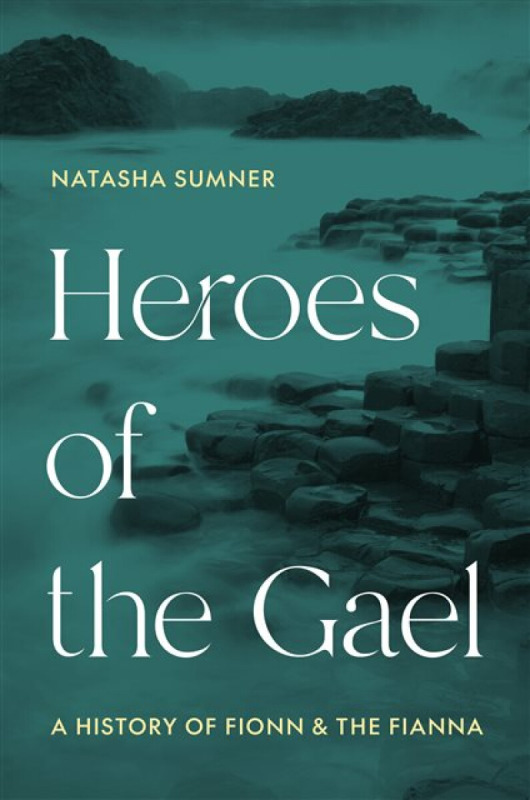 Princeton University Press Heroes of the Gael - Sumner, Professor Natasha