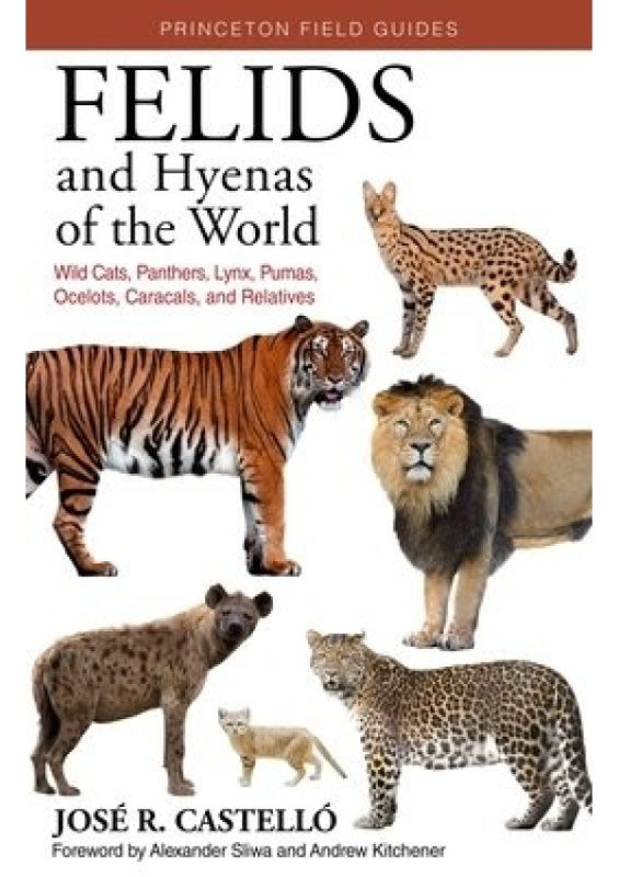 Felids and Hyenas of the World, Wildcats, Panthers, Lynx, Pumas, Ocelots, Caracals, and Relatives Princeton University Press