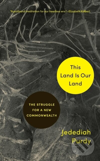 This Land Is Our Land (The Struggle for a New Commonwealth) - kniha z kategorie Politológia a politika
