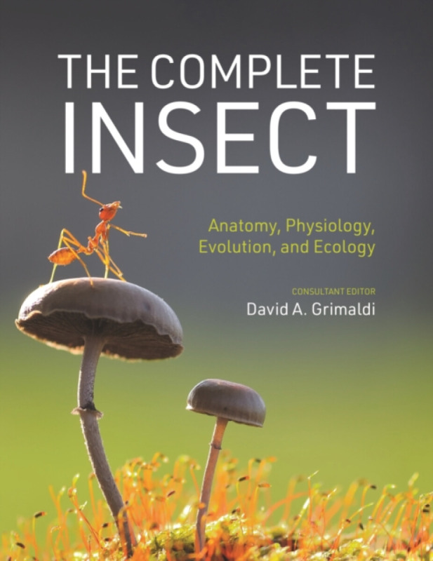 The Complete Insect – Anatomy, Physiology, Evolution, and Ecology