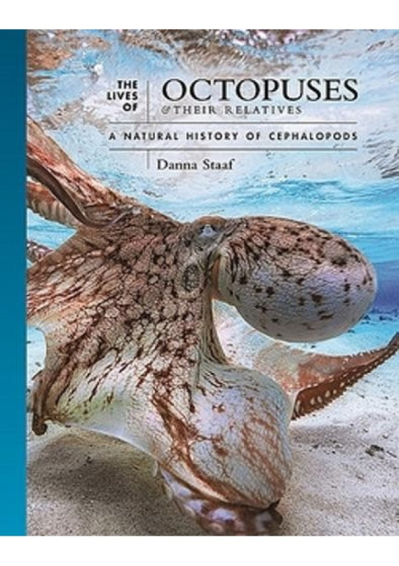 Lives of Octopuses and Their Relatives, A Natural History of Cephalopods Princeton University Press