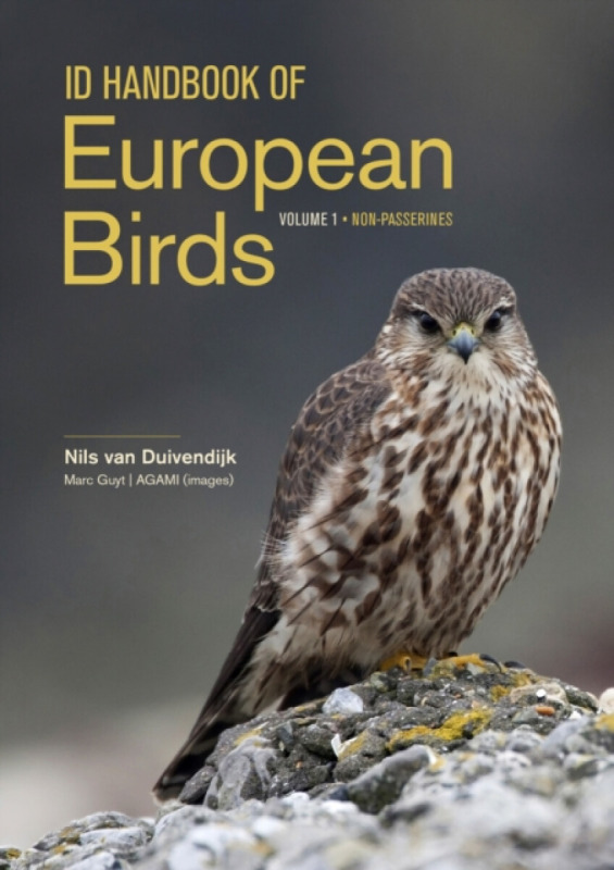 ID Handbook of European Birds Princeton University Press
