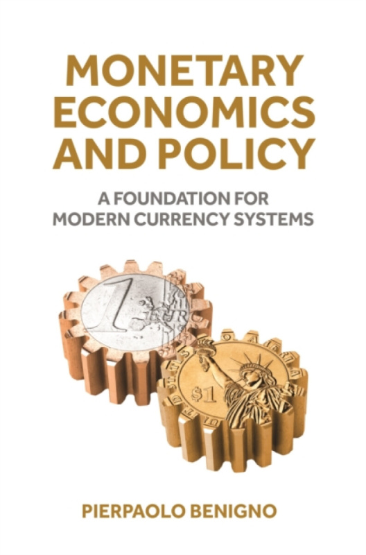 Monetary Economics and Policy, A Foundation for Modern Currency Systems Princeton University Press