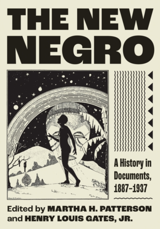 Princeton University Press New Negro - Patterson, Martha H. a Gates, Henry Louis, Jr.