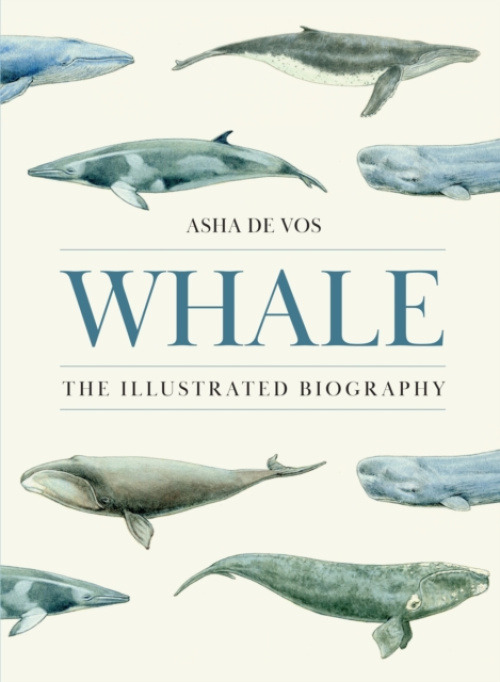 Princeton University Press Whale - Vos, Asha de