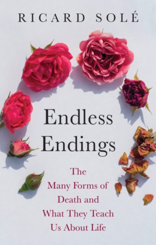 Princeton University Press Endless Endings - Sole, Ricard