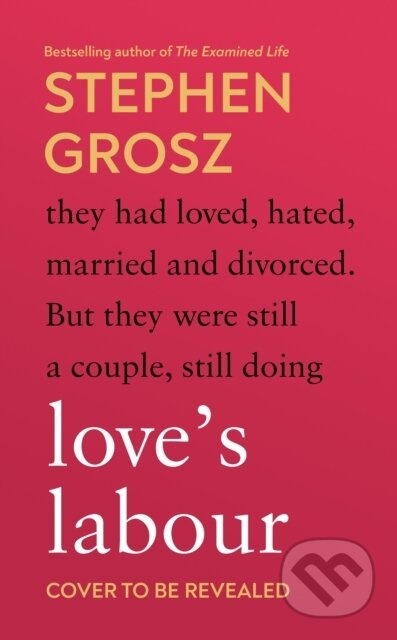 Loves Labour - Stephen Grosz