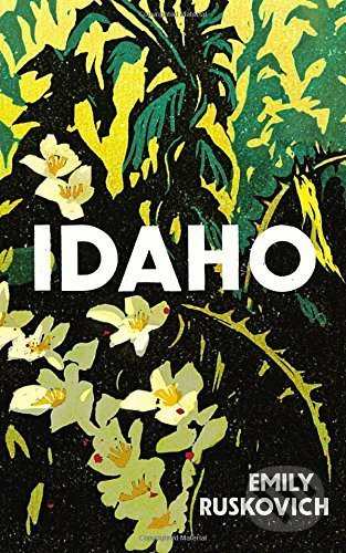 Idaho - Emily Ruskovich - kniha z kategorie Beletrie