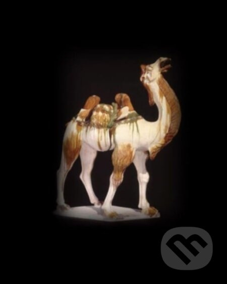 Silk Roads - Sue Brunning, Luk Yu-ping, Elisabeth R. O’Connell, Tim Williams - kniha z kategorie Historie