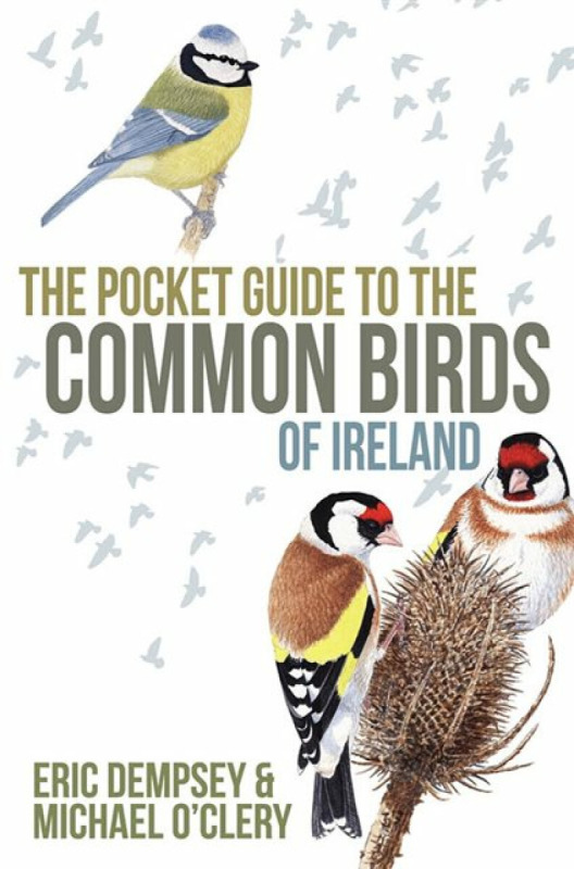 The Pocket Guide to the Common Birds of Ireland - Eric Dempsey