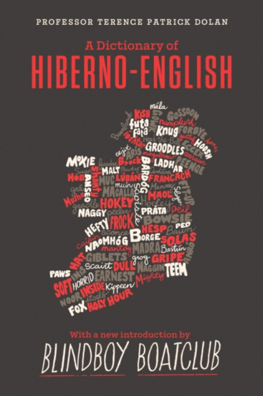A Dictionary of Hiberno English - Terence Patrick Dolan