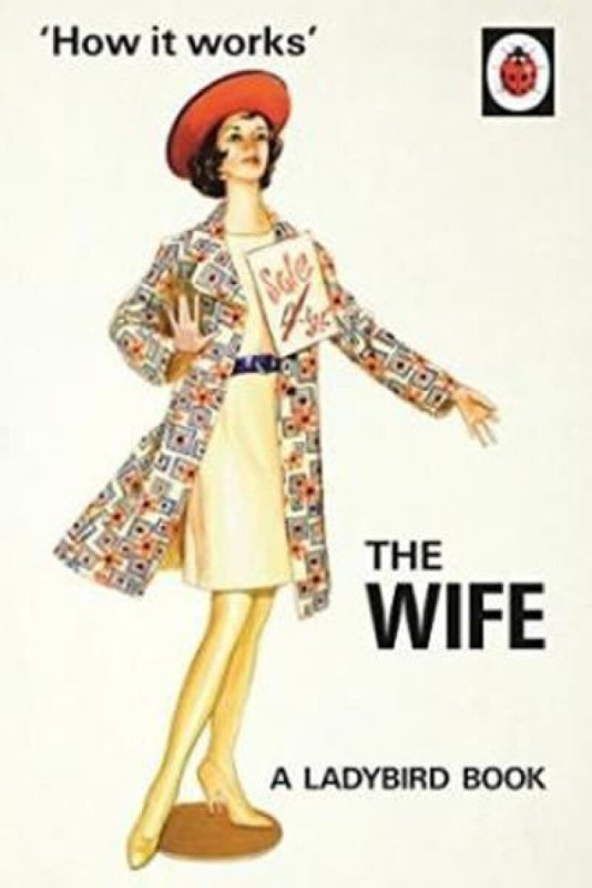 The Wife - Jason Hazeley, Joel Morris - kniha z kategorie Beletrie
