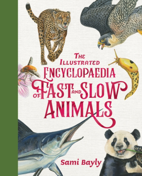 Hachette Australia Illustrated Encyclopaedia of Fast and Slow Animals - Bayly, Sami