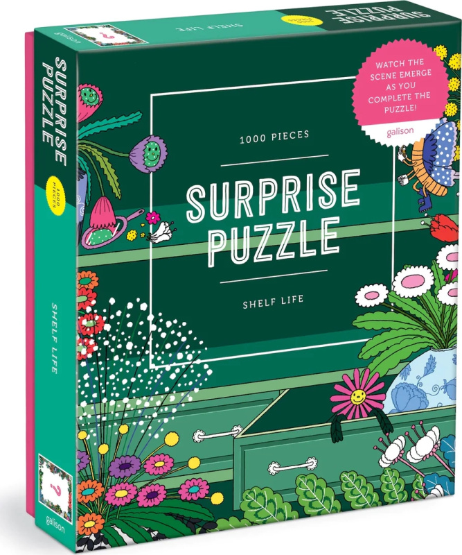 GALISON Surprise puzzle Život na poličce 1000 dílků