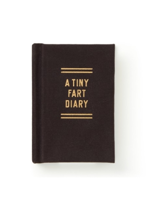 Tiny Fart Diary GALISON