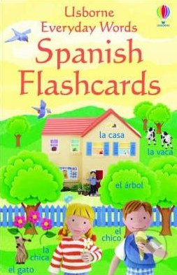 Everyday Words in Spanish - Felicity Brooks - kniha z kategorie Beletrie