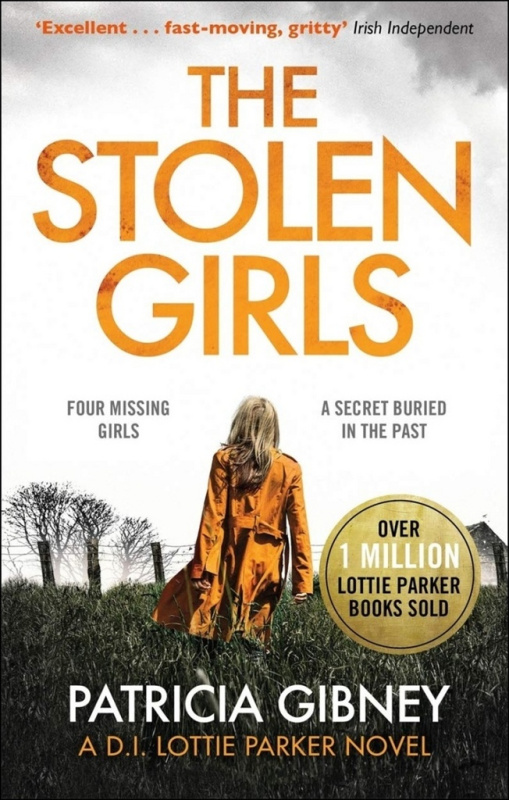 The Stolen Girls - Patricia Gibney - kniha z kategorie Detektivky, thrillery a horory
