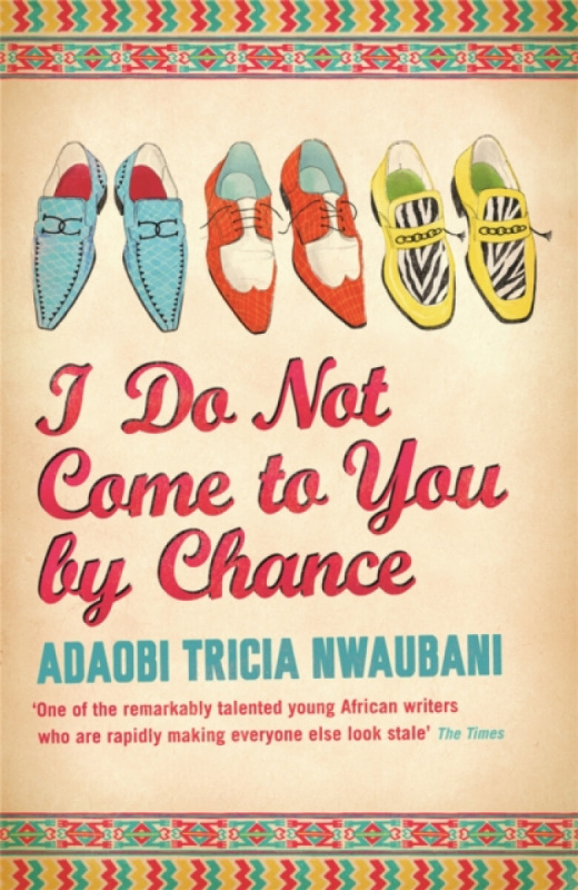 I Do Not Come to You by Chance - Adaobi Tricia Nwaubani