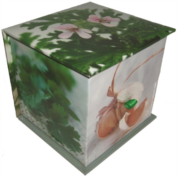 Anness Publishing Memo Block: Herbs - Peony Press