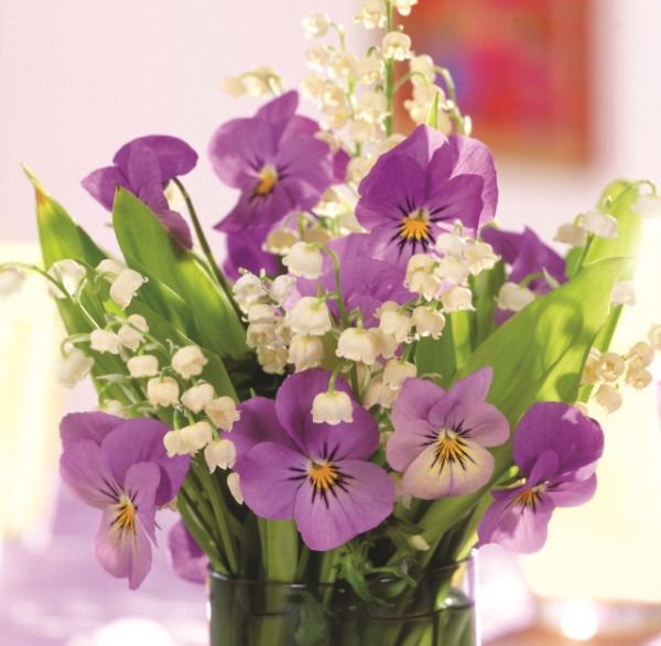 Anness Publishing Memo Block: Purple Viola - Peony Press