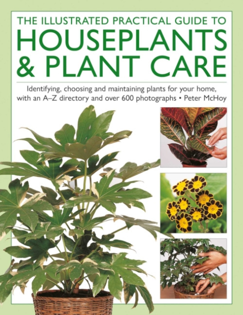 Anness Publishing Illustrated Practical Guide to Houseplants & Plant Care - McHoy, Peter