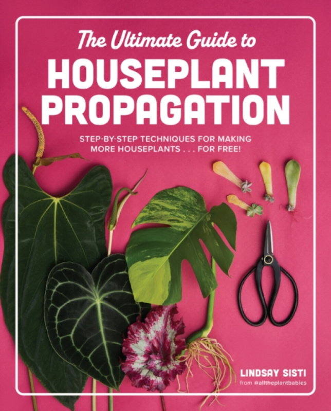 The Ultimate Guide to Houseplant Propagation - Lindsay Sisti
