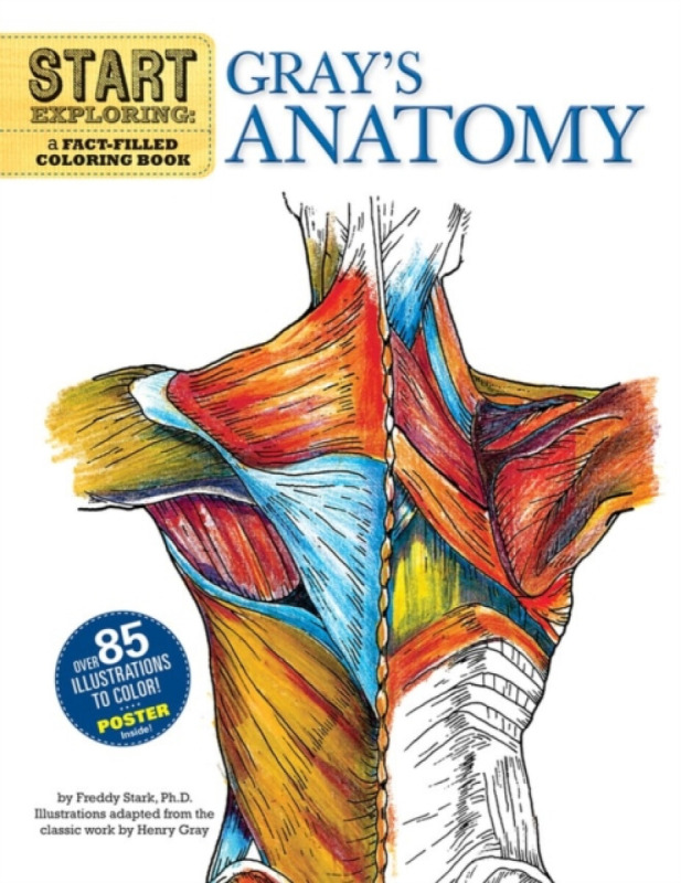 Start Exploring: Gray's Anatomy - Freddy Stark