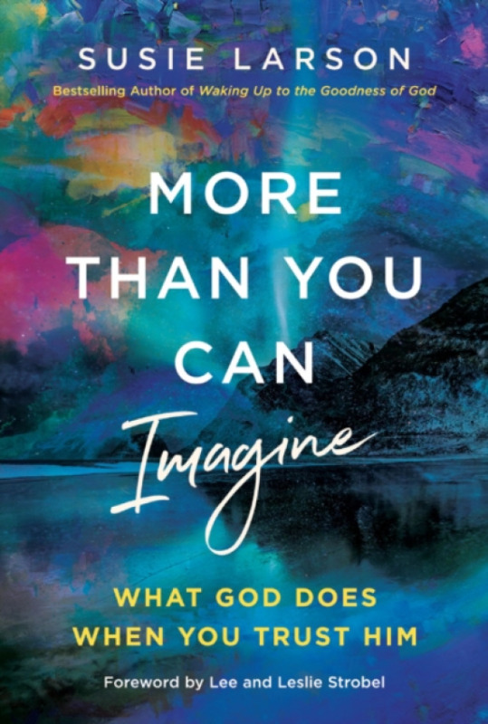 Thomas Nelson Publishers More Than You Can Imagine - Larson, Susie