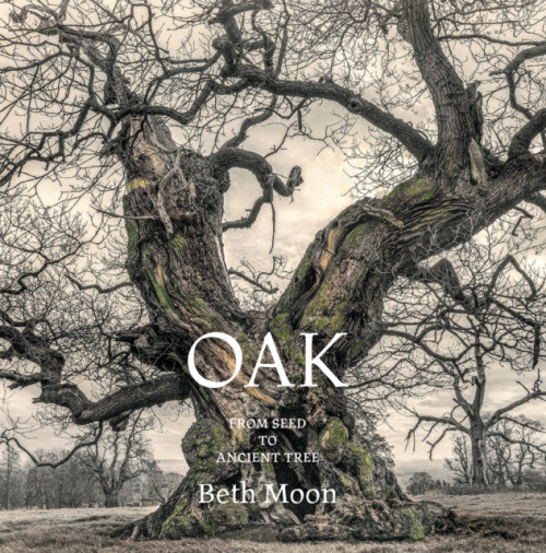 Abbeville Press Inc.,U.S. Oak - Moon, Beth