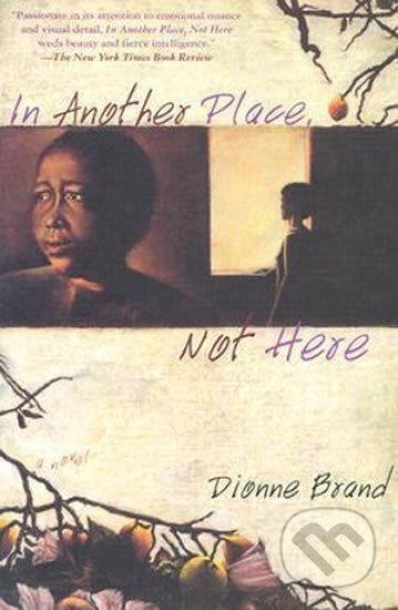 In Another Place, Not Here - Dionne Brand