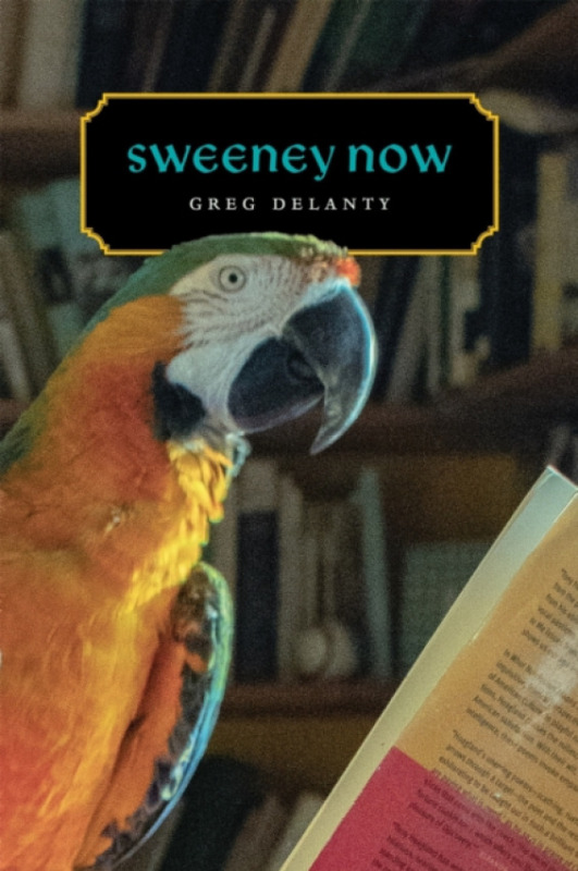 Louisiana State University Press Sweeney Now - Delanty, Greg
