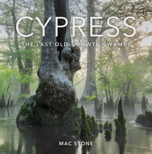 University Press of Florida Cypress - Stone, Mac