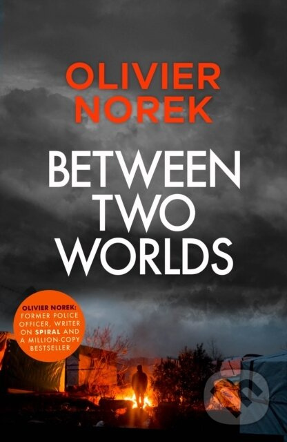 Between Two Worlds (THE TIMES Best Crime Novel of the Year 2024) - kniha z kategorie Detektivky, thrillery a horory